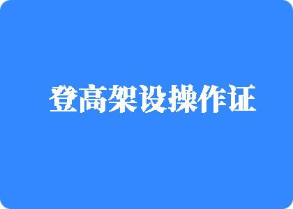 奶头湿湿口述登高架设操作证